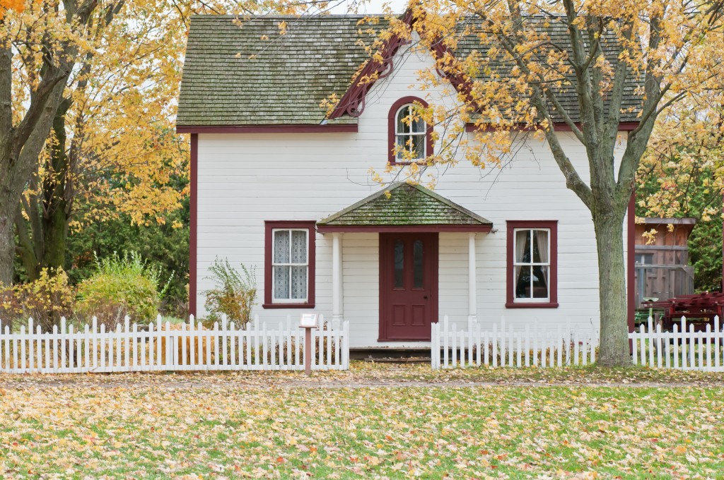 small yard with vinyl fence