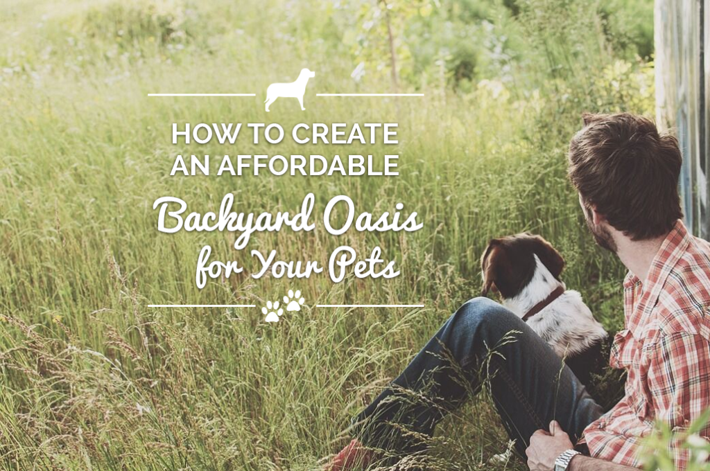 how to create an affordable backyard oasis for your pets