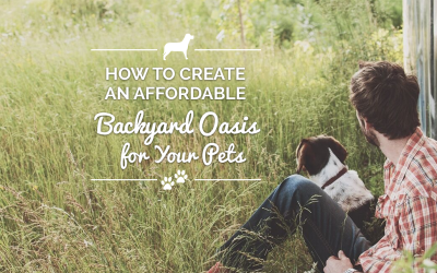 How to Create an Affordable Backyard Oasis for Your Pet
