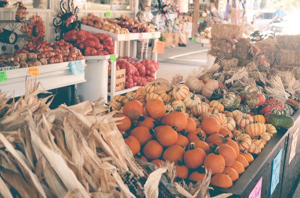 Simple Outdoor Decoration Ideas for Halloween & Fall