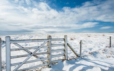 Why You Should Never Buy a Fence Before Using a Fence Calculator