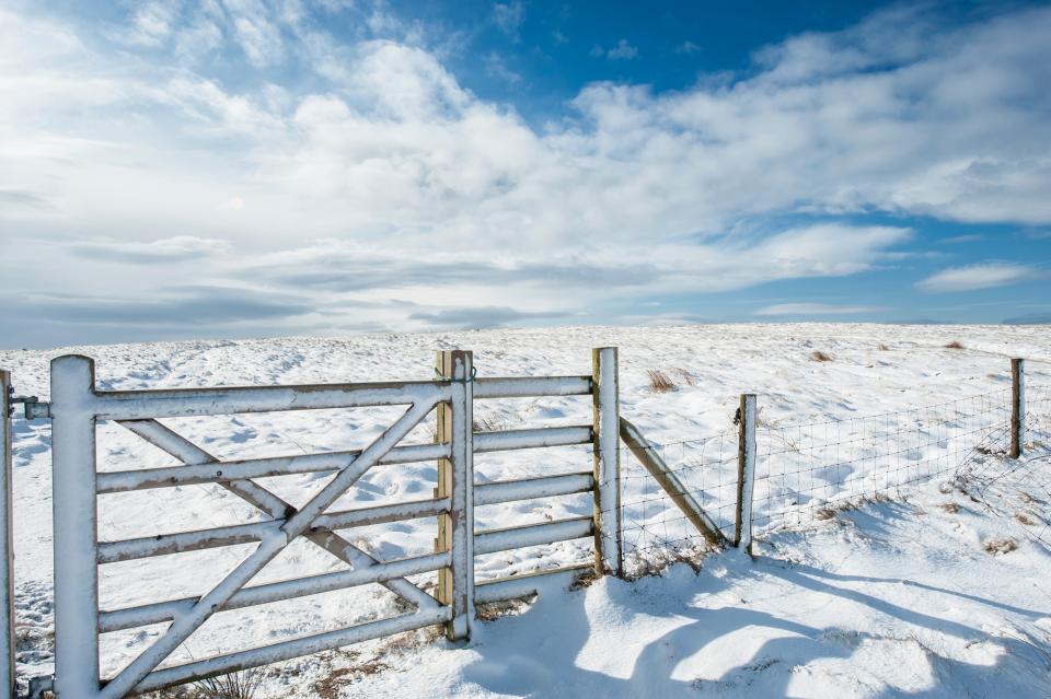 Why You Should Never Buy a Fence Before Using a Fence Calculator