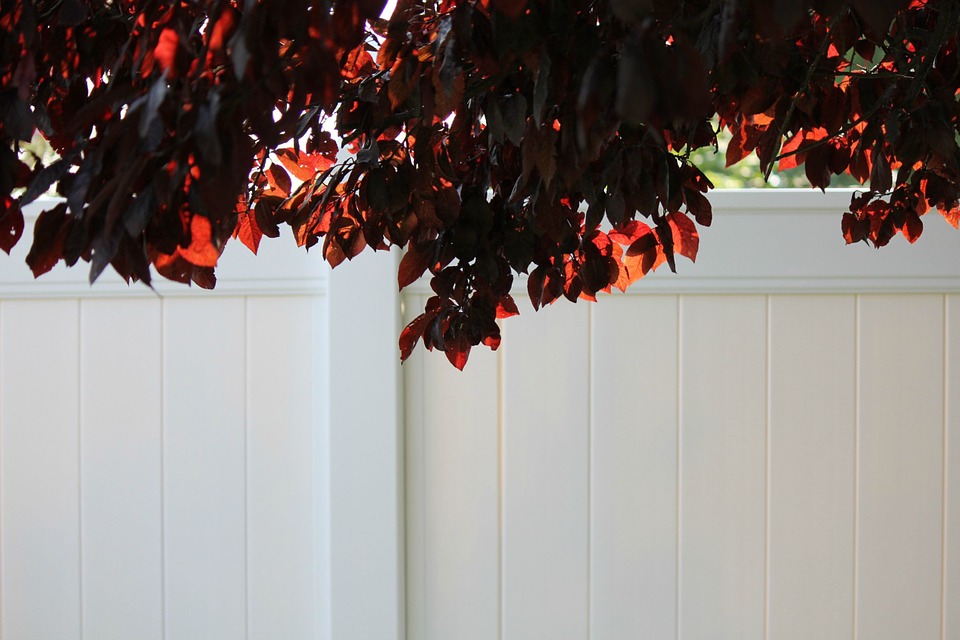 Clean White Vinyl Fence